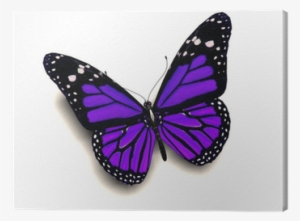 Purple 3d Butterfly Tattoo Designs #3611410