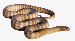 Liked Like Share - Abound: How To Be Effective & Fruitful In M #3612698