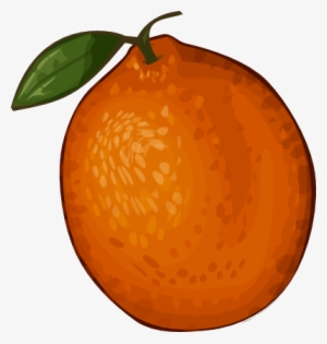 Orange Clip Art - Orange Clipart #3613053
