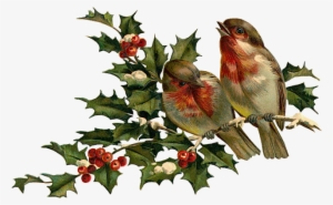 A Feedback Would Be Very Nice - Vintage French Christmas Bir Note Cards (pk #3613178