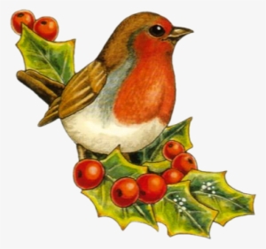 Tube De Noel - Oiseau De Noel #3613209