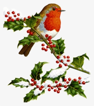 A Feedback Would Be Very Nice - Vintage Christmas Bird Clip Art #3613233