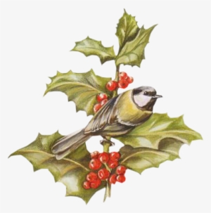 Oiseaux Noel - Christmas Day #3613263