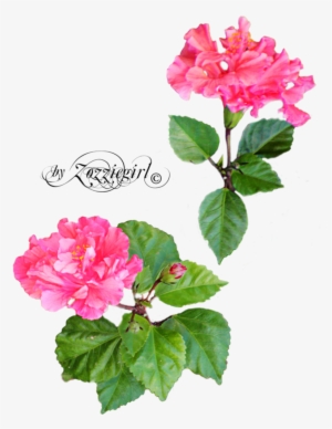 For Mobile Dorothy Ferguson - Wallpaper #3613592