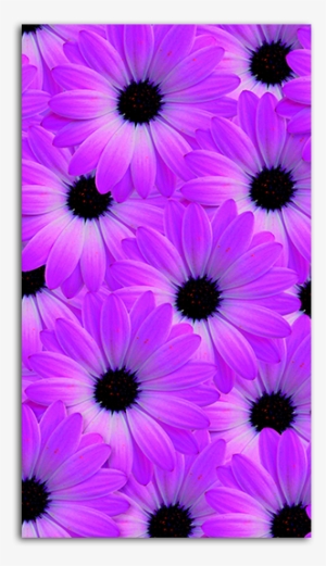 Flower Vision Wallpaper For Mobile Big - Flower And Smal Heart Hd Png #3613619
