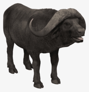 Free Png African Buffalo Photo Png Images Transparent - African Buffalo #3614268