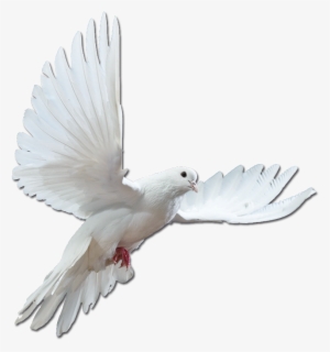 Artistes - > - Psychic School - How To Become A Psychic Medium #3614797