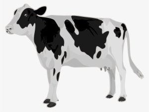 Open - Genetic Study Of Lactation Curve In A Herd Of Holstein #3615988