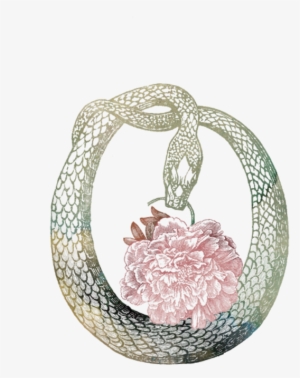 Tramp Web Icon Transparent - Flora Botanical Tissue - Gift Wrap #3616085