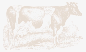Farmingpagecow-19 - Dairy Cow #3616133