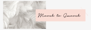 Mooch To Smooch - Calligraphy #3616877
