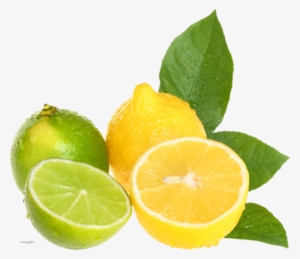 The Pores Management Specialist - Lemon And Lime Clipart #3617346