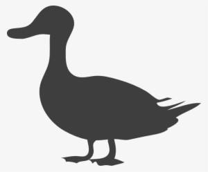 How To Set Use Grey Duck Clipart - Duck Silhouette #3618203