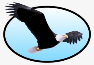 Lost Creek Elementary Engaging All Learners To Achieve - Don J Mcgrath Don J Mcgrath Nfwf #3618517