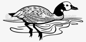 White-faced Whistling Duck - Duck #3618561