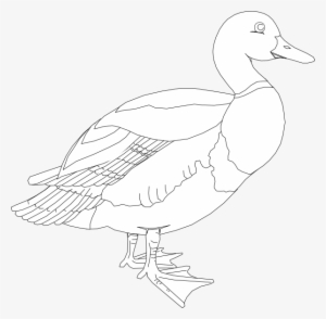 Clip Art #3618563 Clip Art #3618563
