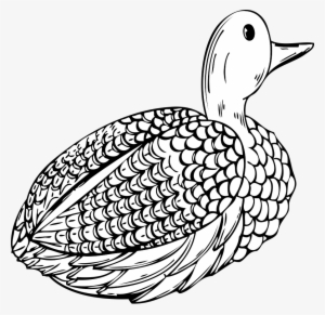 Duck #3618609