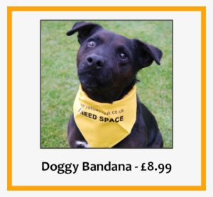 Dog Bandana - Bandana On Dog Meaning #3618823