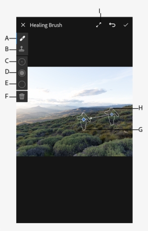 Using The Heal Tool To Remove The Unwanted Object From - Adobe Lightroom #3619158