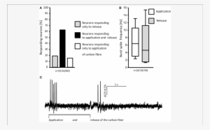 Loading And Unloading The Von Frey Hair Evoked Responses - Diagram #3620539