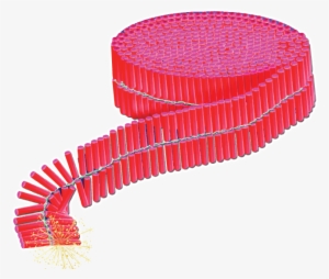 Functions, Diwali Festivels And All Grand Ceremonies - Diwali 10000 Wala Crackers #3622268