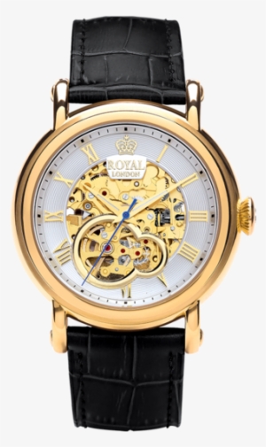 Golden Dial Transparent Watch For Men - Royal London Skeleton Watch #3623348