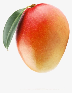 Think Mangos - Mango Transparent #3624082