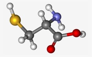 Cysteine Ball And Stick #3624475