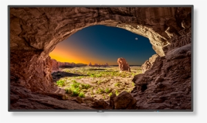 55" Commercial-grade Large Format Display - Amazing Nature Wallpaper 4k #3624658