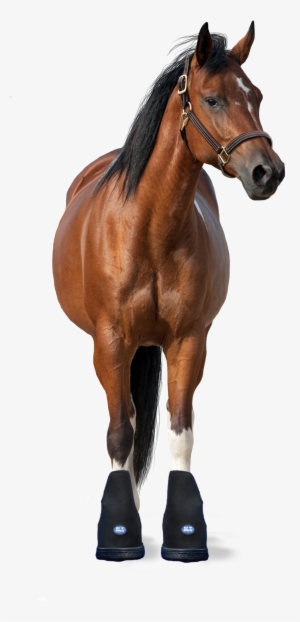 2 Icehorse Pro Therapy Big Black Boots Size Small, - Horse Facing Front Png #3624819