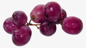 Aesthetic Fruits Png #3624822 Aesthetic Fruits Png #3624822