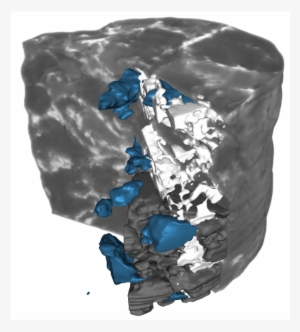 Degradation - Common Fig #3624882