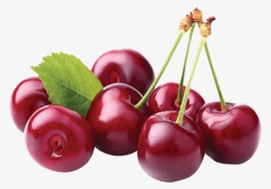 Everyone Knows How Delicious This Fruit Is - Grower Direct Marketing Cherries, 2.25 Lb Bag #3624928