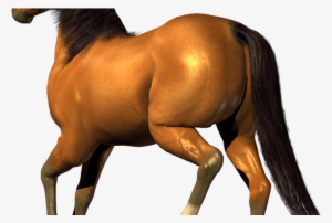 Horse Png Image Download Picture Transparent Background - Horse Clipart Transparent Background #3625076