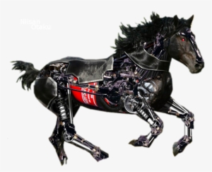 Hupoart - Weebly - Com - Chimpanzee Riding A Horse #3625081