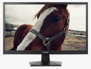 Monitor Showing Resolution - You Should Get Me A Horse #3625143