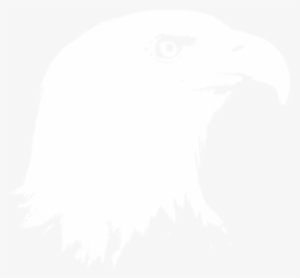 The Vision For Greatness The Guts To Fly Through The - Types Of Bird In The Taiga #3626558