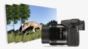 Faster And More Reliable Autofocus - Leica V-lux Typ 114 20.1 Mp Compact Digital Camera #3626761