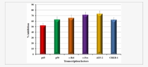 Effect Of Nomilin On The Translocation Of Transcription - Error Bar #3626898