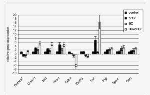 Changes In The Relative Expression Of Genes Related - Gene Expression #3626901