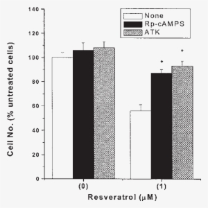 Effects Of The Kinase A Inhibitor , - Matrix Metalloproteinase #3626931