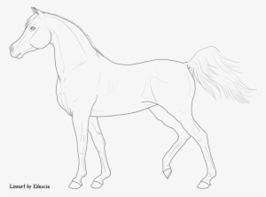 Free Horse Lineart By Eduscia On Deviantart - Horse #3627669