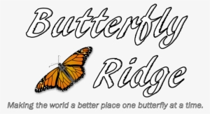 Png Images Butterflies #3628115