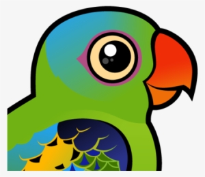 Also Known As - Parrot #3628185