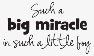 Best Dream Big Quotes For Kids Big Miracle Little Boy - Funny Little Brother Quotes From Big Sister #3629466