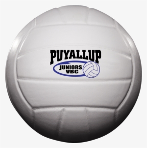 Custom Status X Leather Game Volleyball - Volleyball #3629508