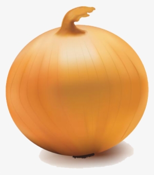 Onion Vector Transparent Png - Onion Transparent Background #3630181