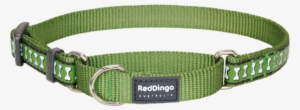 Martingale Reflective Bones Dog Collar - Red Dingo Reflective Martingale Dog Collar, Medium #3630533