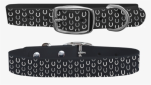 Horseshoes Black Dog Collar - Dog Collar #3630611