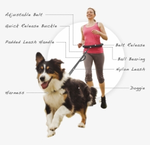 Belt2-02 - Fitness Runner With Dog #3631245